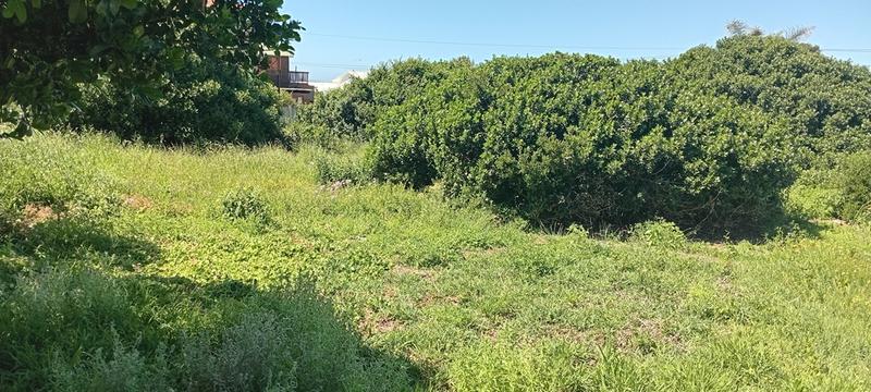 0 Bedroom Property for Sale in Reebok Western Cape